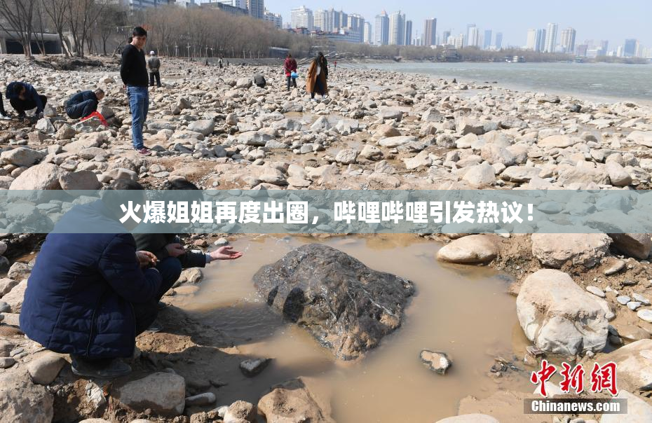 火爆姐姐再度出圈，哔哩哔哩引发热议！