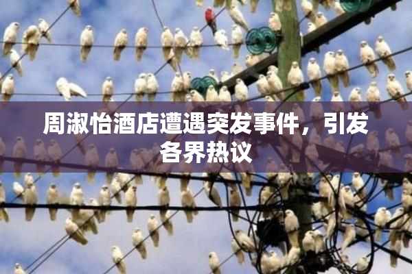 周淑怡酒店遭遇突发事件，引发各界热议