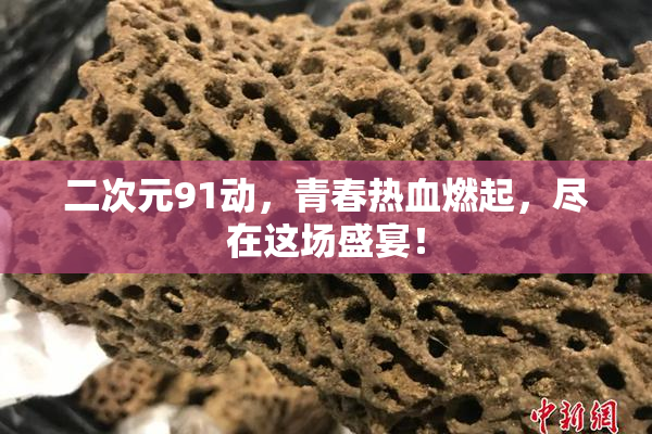 二次元91动，青春热血燃起，尽在这场盛宴！