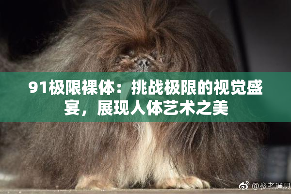 91极限裸体：挑战极限的视觉盛宴，展现人体艺术之美