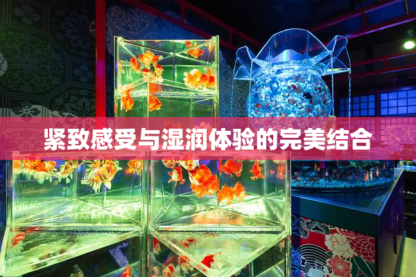 紧致感受与湿润体验的完美结合