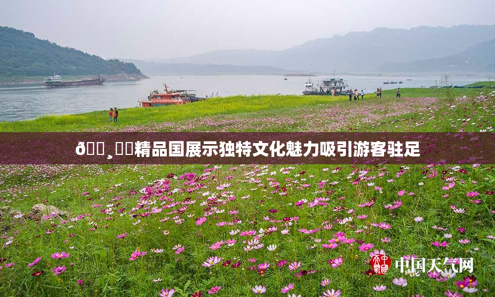 🌸‌✿精品国展示独特文化魅力吸引游客驻足