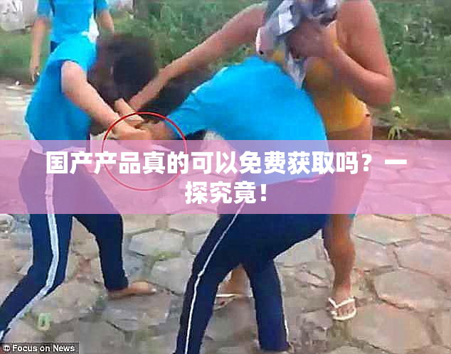 国产产品真的可以免费获取吗？一探究竟！