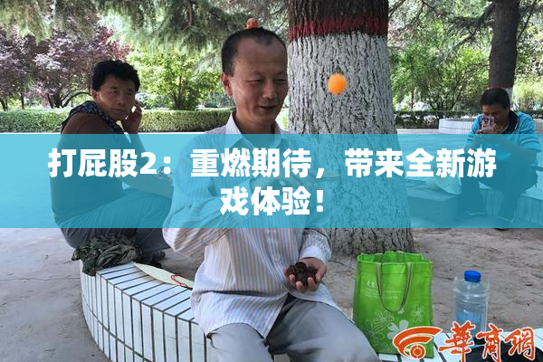 打屁股2：重燃期待，带来全新游戏体验！