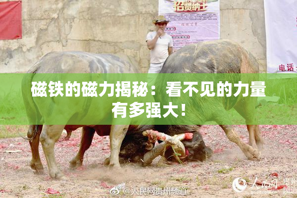 磁铁的磁力揭秘：看不见的力量有多强大！