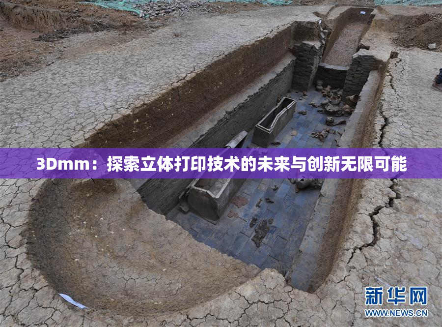 3Dmm：探索立体打印技术的未来与创新无限可能