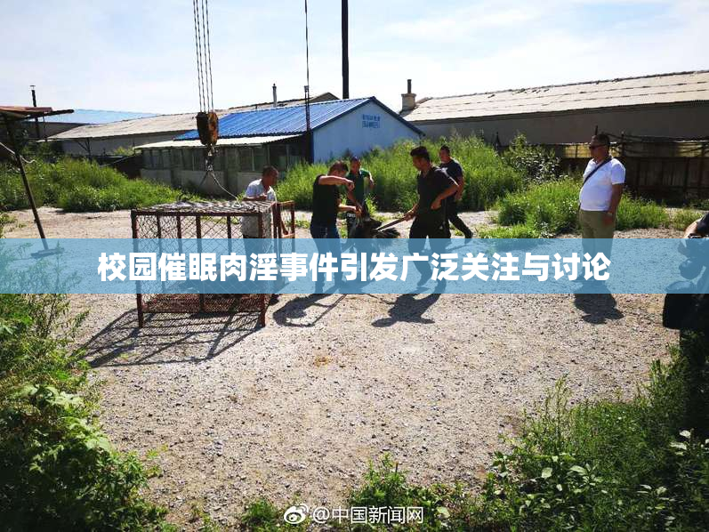 校园催眠肉淫事件引发广泛关注与讨论