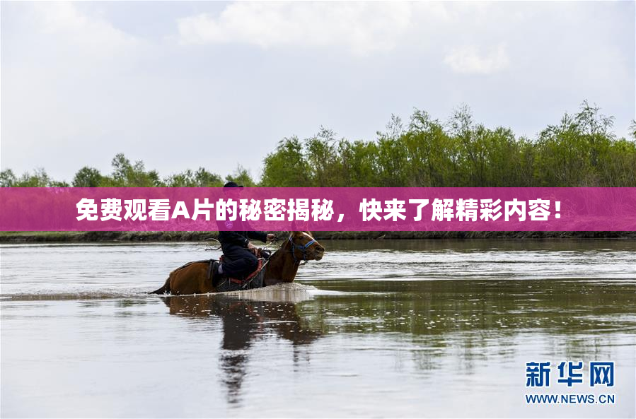 免费观看A片的秘密揭秘，快来了解精彩内容！