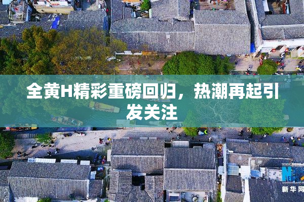 全黄H精彩重磅回归，热潮再起引发关注
