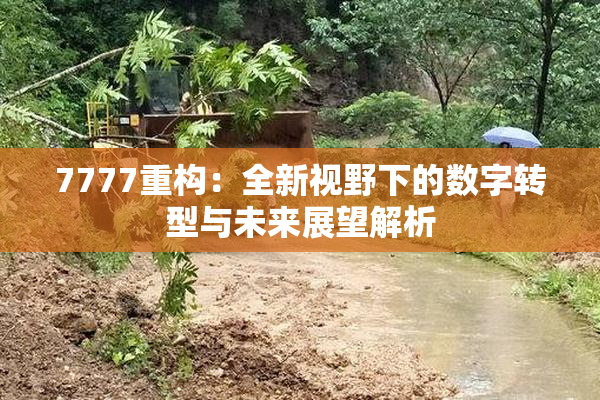 7777重构：全新视野下的数字转型与未来展望解析