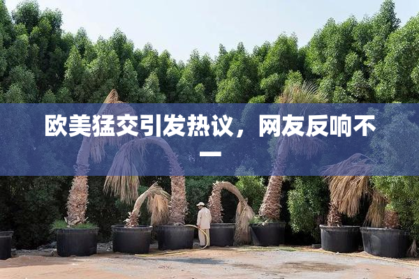 欧美猛交引发热议，网友反响不一