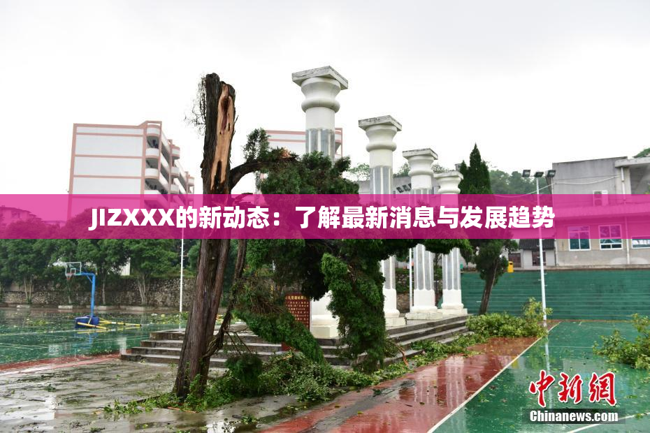 JIZXXX的新动态：了解最新消息与发展趋势