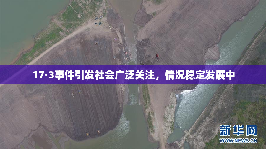 17·3事件引发社会广泛关注，情况稳定发展中