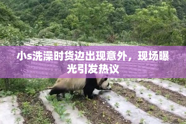 小s洗澡时货边出现意外，现场曝光引发热议
