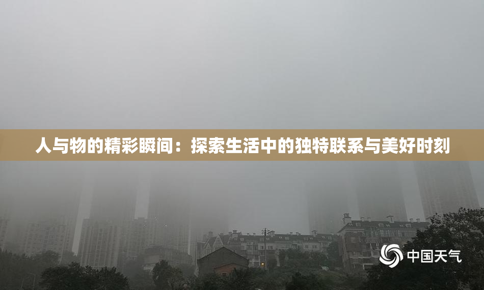 人与物的精彩瞬间：探索生活中的独特联系与美好时刻