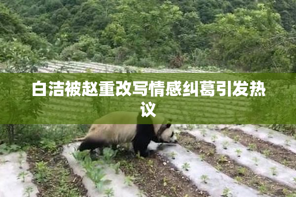 白洁被赵重改写情感纠葛引发热议