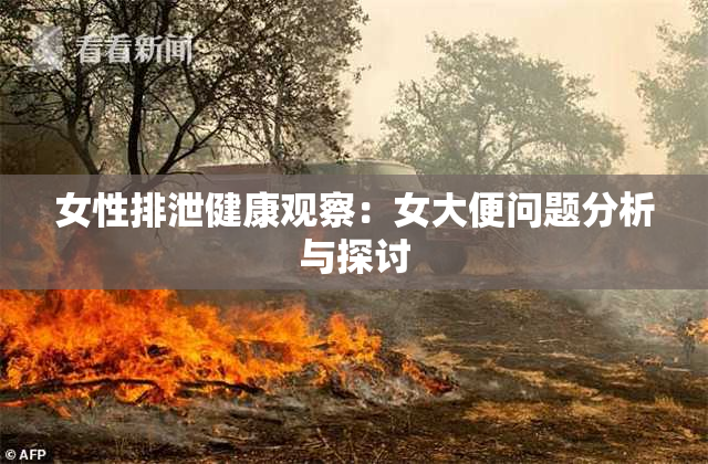 女性排泄健康观察：女大便问题分析与探讨