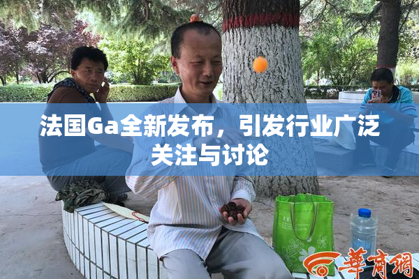 法国Ga全新发布，引发行业广泛关注与讨论