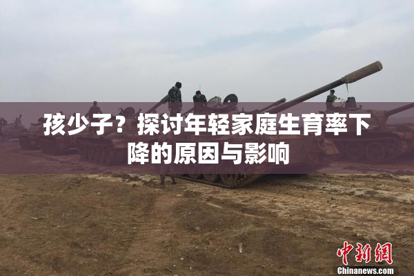 孩少子？探讨年轻家庭生育率下降的原因与影响