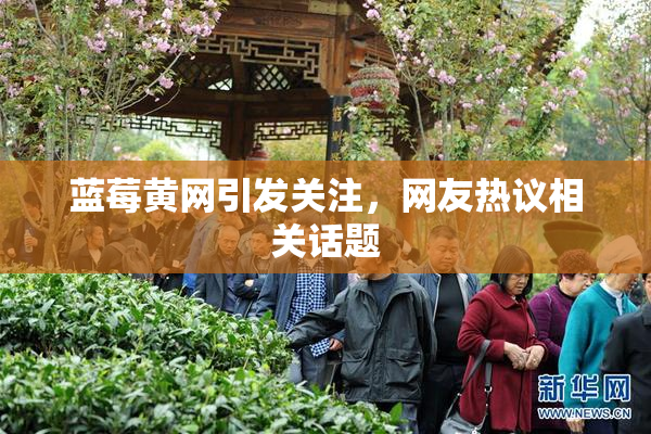 蓝莓黄网引发关注，网友热议相关话题