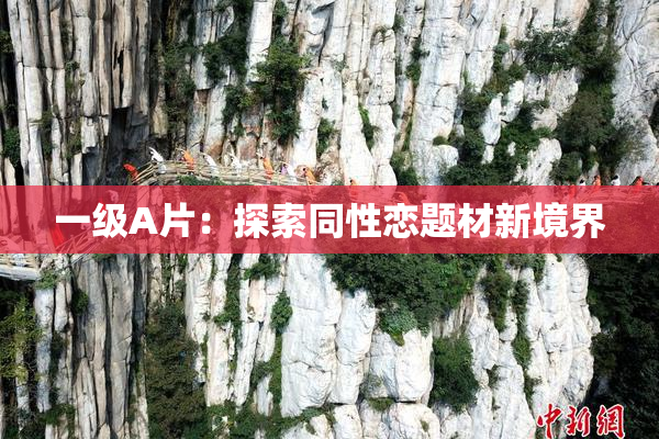 一级A片：探索同性恋题材新境界