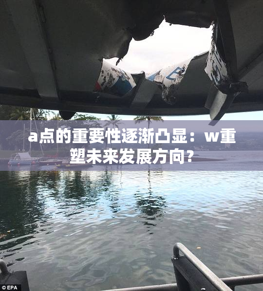 a点的重要性逐渐凸显：w重塑未来发展方向？