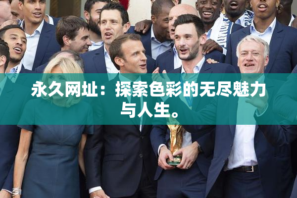 永久网址：探索色彩的无尽魅力与人生。