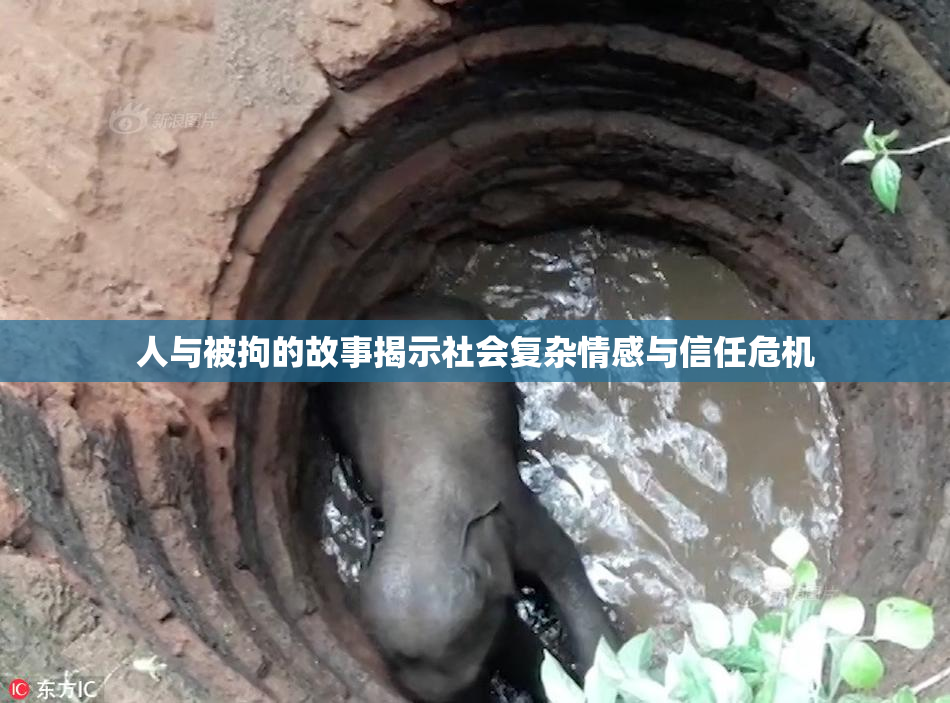 人与被拘的故事揭示社会复杂情感与信任危机