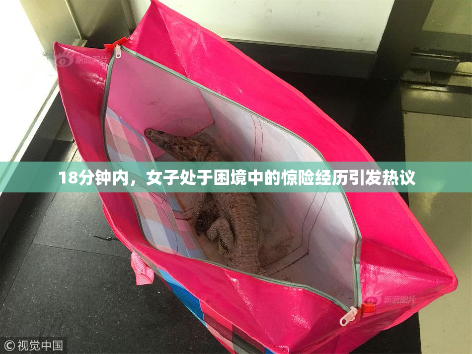 18分钟内，女子处于困境中的惊险经历引发热议
