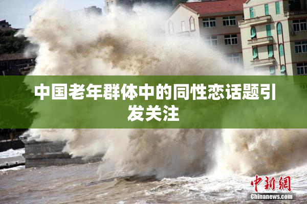 中国老年群体中的同性恋话题引发关注
