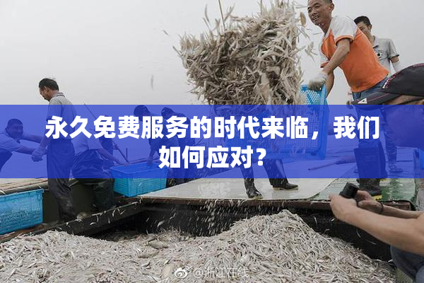 永久免费服务的时代来临，我们如何应对？