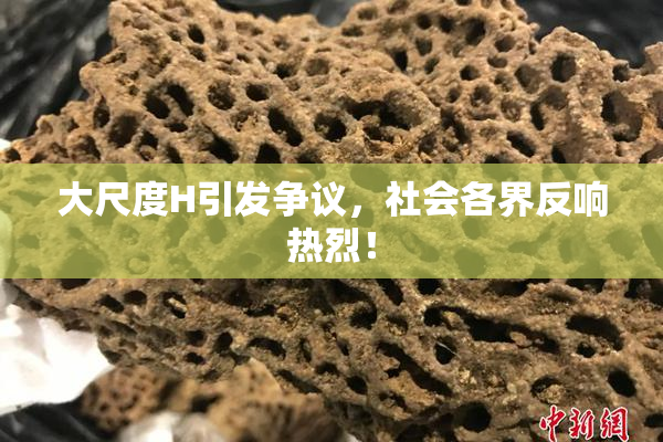 大尺度H引发争议，社会各界反响热烈！