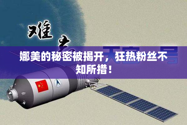 娜美的秘密被揭开，狂热粉丝不知所措！