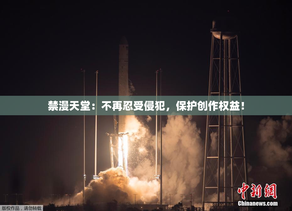 禁漫天堂：不再忍受侵犯，保护创作权益！