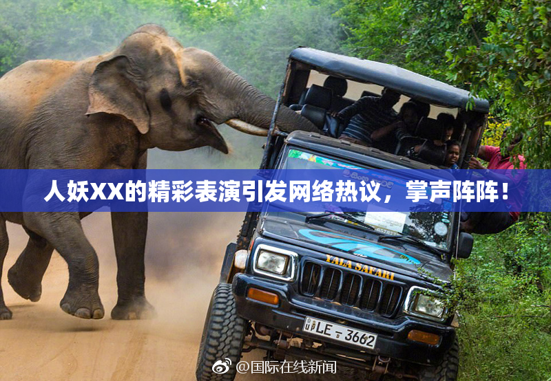 人妖XX的精彩表演引发网络热议，掌声阵阵！