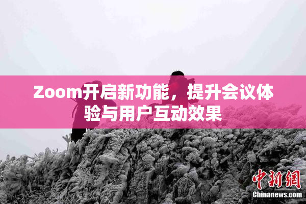 Zoom开启新功能，提升会议体验与用户互动效果