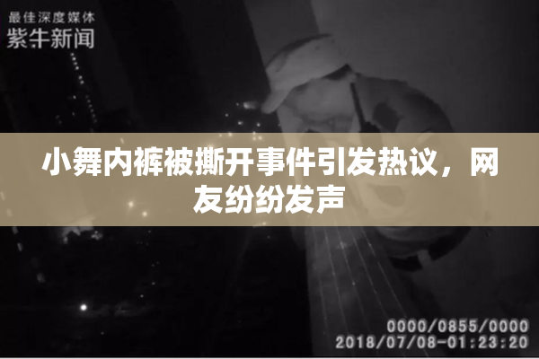 小舞内裤被撕开事件引发热议，网友纷纷发声