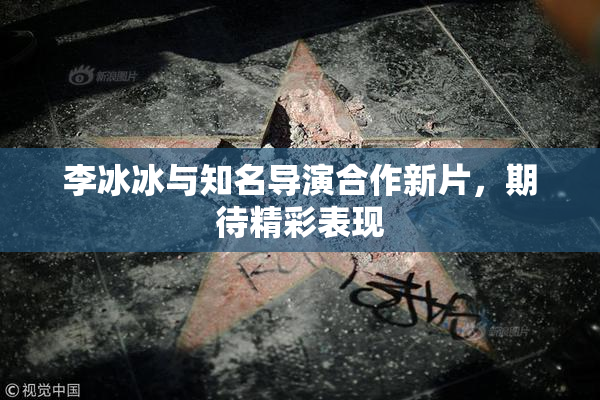 李冰冰与知名导演合作新片，期待精彩表现