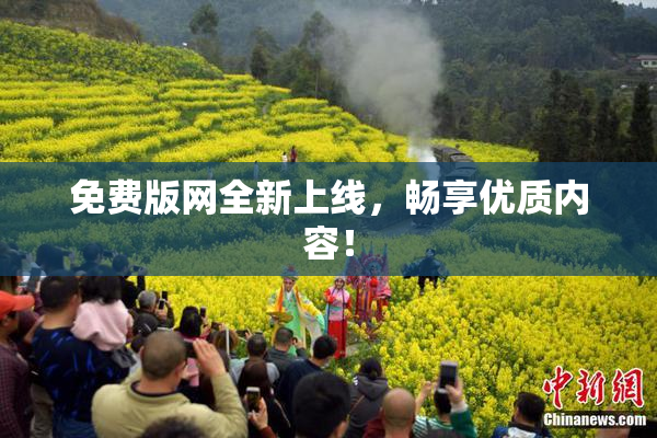 免费版网全新上线，畅享优质内容！