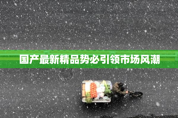 国产最新精品势必引领市场风潮