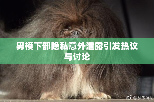 男模下部隐私意外泄露引发热议与讨论