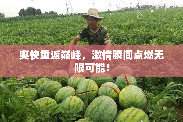 爽快重返巅峰，激情瞬间点燃无限可能！