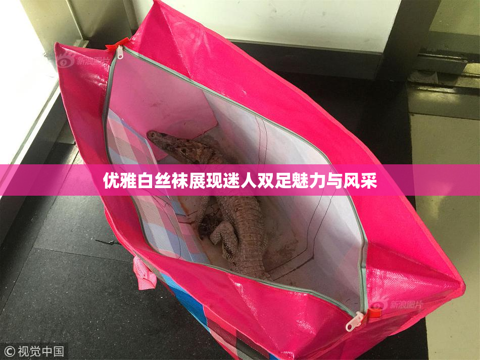 优雅白丝袜展现迷人双足魅力与风采