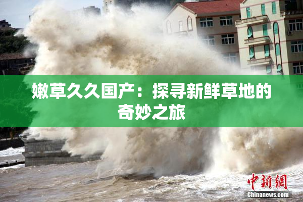 嫩草久久国产：探寻新鲜草地的奇妙之旅