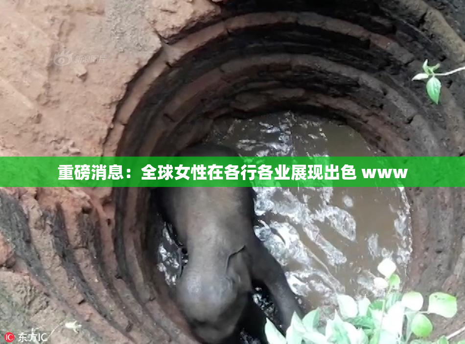 重磅消息：全球女性在各行各业展现出色 www