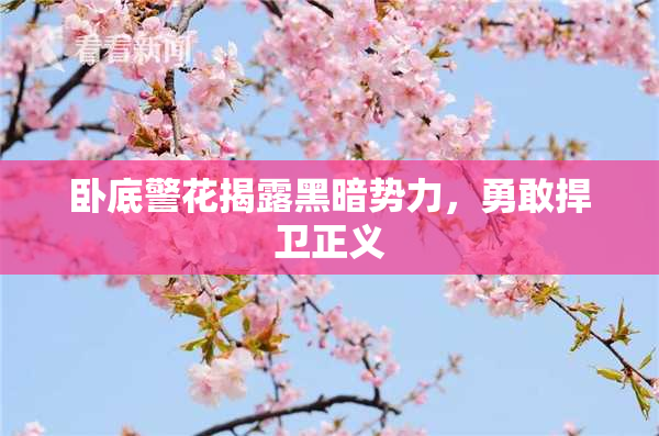 卧底警花揭露黑暗势力，勇敢捍卫正义