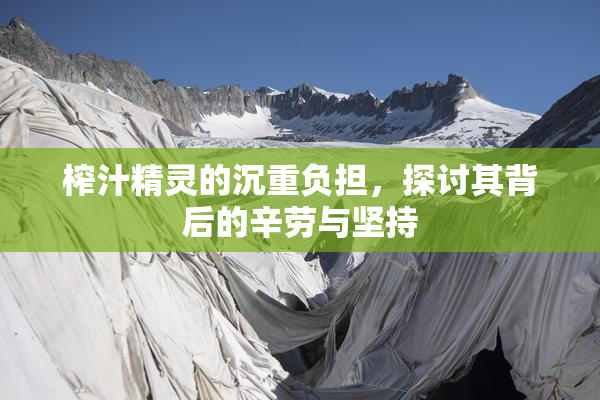 榨汁精灵的沉重负担，探讨其背后的辛劳与坚持