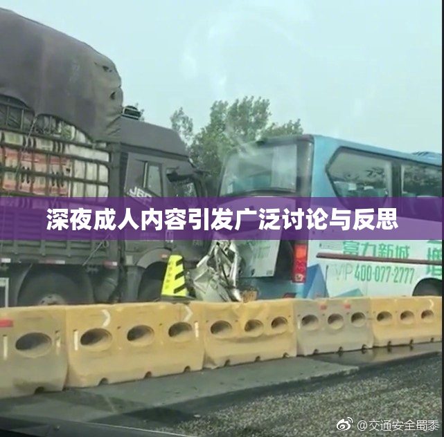 深夜成人内容引发广泛讨论与反思