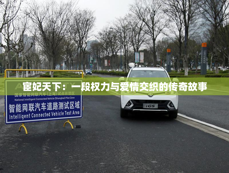 宦妃天下：一段权力与爱情交织的传奇故事