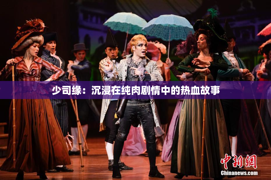 少司缘：沉浸在纯肉剧情中的热血故事